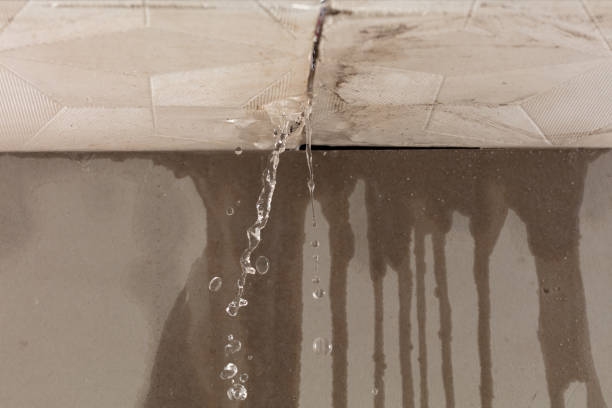 Professional Water Damage Inspection technician working in Harrington, ME